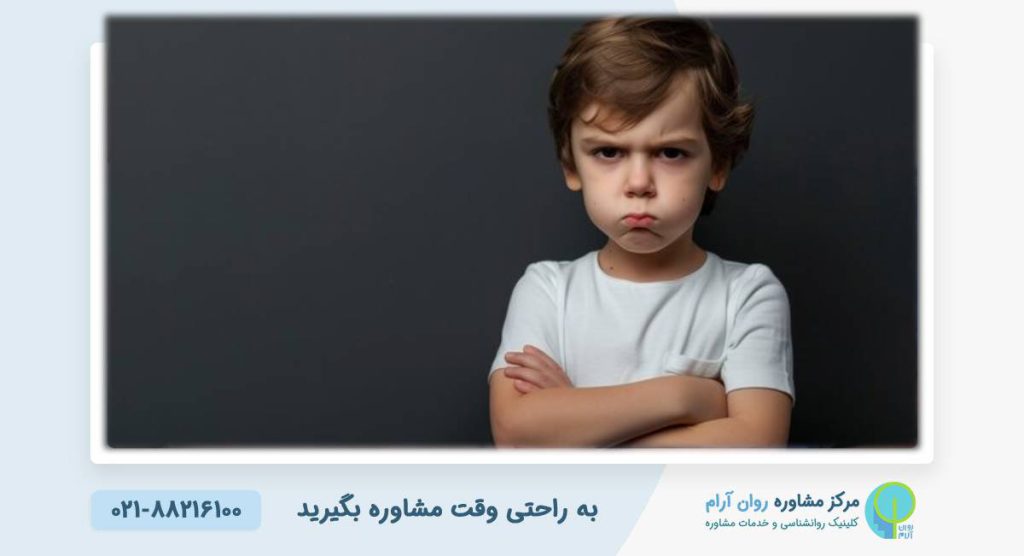 چگونه با رفتار کودک لجباز برخورد کنیم؟ راهکارهای علمی از بهترین روانشناس کودک در کلینیک روانشناسی روان آرام 1 چگونه با رفتار کودک لجباز برخورد کنیم؟ راهکارهای علمی از بهترین روانشناس کودک در کلینیک روانشناسی روان آرام